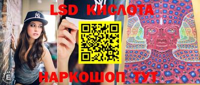 ECSTASY Будённовск